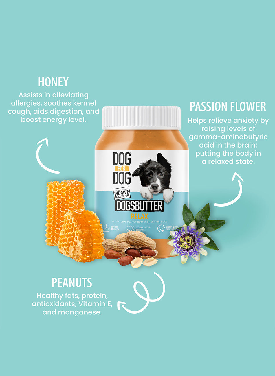 Choose Healthy Peanut Butter For Dogs Pets Food 16oz